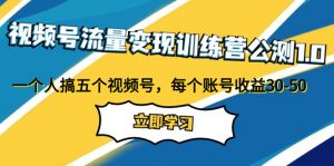 视频号流量变现训练营公测1.0：一个人搞五个视频号，每个账号收益30-50-KJ分享