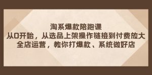 淘系爆款陪跑课 从选品上架操作链接到付费放大 全店运营 打爆款 系统做好店-KJ分享