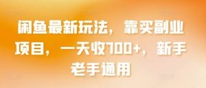 闲鱼最新玩法，靠买副业项目，一天收700+，新手老手通用-KJ分享