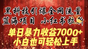 蓝海项目!黑科技引爆全网流量小红书拉新，单日暴力收益7000+，小白也能轻松上手-KJ分享