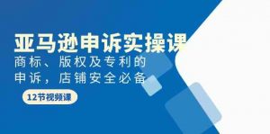 亚马逊-申诉实战课，​商标、版权及专利的申诉，店铺安全必备-KJ分享