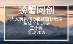 大人玩具情Q用品赛道私域全新玩法，三个月变现20W，老项目新思路-KJ分享