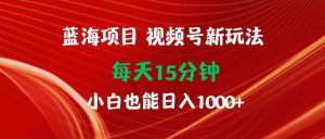 蓝海项目视频号新玩法 每天15分钟 小白也能日入1000+-KJ分享