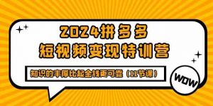 2024拼多多短视频变现特训营，知识的丰厚比起金钱更可靠（11节课）-KJ分享