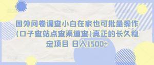 国外问卷调查小白在家也可批量操作(口子查站点查渠道查)真正的长久稳定项目 日入1500+-KJ分享
