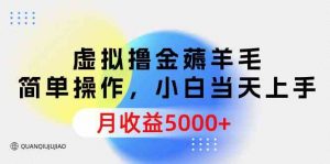 虚拟撸金薅羊毛，简单操作，小白当天上手，月收益5000+-KJ分享