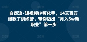 自然流·短视频IP孵化手,14天百万爆款了训练营,带你迈出“月入5w新职业”第一步-KJ分享