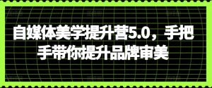 自媒体美学提升营5.0，手把手带你提升品牌审美-KJ分享