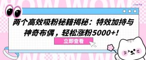两个高效吸粉秘籍揭秘:特效加持与神奇布偶,轻松涨粉5000+-KJ分享