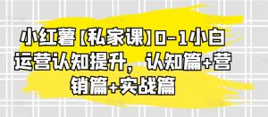 小红薯【私家课】0-1小白运营认知提升,认知篇+营销篇+实战篇-KJ分享