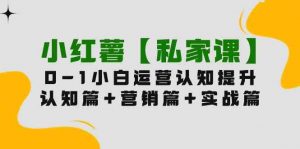 小红薯【私家课】0-1玩赚小红书内容营销,认知篇+营销篇+实战篇(11节课)-KJ分享