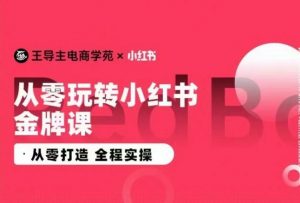 王导主·小红书电商运营实操课,从零打造 全程实操-KJ分享