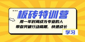 板砖特训营,用一年时间成为专业的人,带你突破行动局限,快速成长-KJ分享