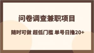 问卷调查兼职项目，随时可做 超低门槛 单号日撸20+-KJ分享