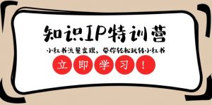 知识IP特训营 :小红书流量变现,带你轻松玩转小红书(23节视频课)-KJ分享
