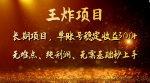 王炸项目!单账号稳定收益300+,适合长期操作的副业兼职。-KJ分享