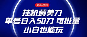 薅羊毛项目  零投入挂机薅美刀    单号日入50刀  可批量  小白也能玩-KJ分享