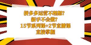 拼多多运营不理想?新手不会做?15节系列课+2节直播课学会直接掌握-KJ分享