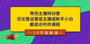 带货主播特训营:无论是运营或主播或新手小白,都适合听的课程-KJ分享