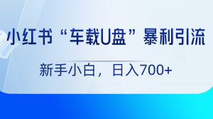 小红书“车载U盘”项目，暴利引流，新手小白轻松日入700+-KJ分享