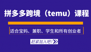 拼多多跨境（temu）课程，适合宝妈、兼职、学生和所有创业者-KJ分享