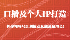 口播及个人IP打造,抓住视频号红利撬动私域流量增长!(45节课)-KJ分享