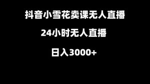 抖音小雪花卖缝补收纳教学视频课程，无人直播日入3000+-KJ分享