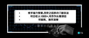 快手磁力聚星改良新玩法,可日收入1000+,新手小白易上手,矩阵操作简单,收益可观-KJ分享