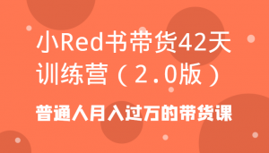 小Red书带货42天训练营(2.0版)普通人月入过万的带货课-KJ分享