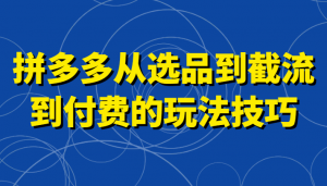 拼多多从选品到截流到付费的玩法技巧,助你掌握截流自然流量,高投产,强付费快速启动-KJ分享