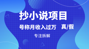 抄小说项目,号称月入过万,到底是否真实,能不能做,详细拆解-KJ分享