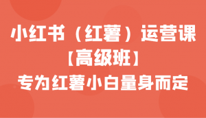 小红书(红薯)运营课【高级班】,专为红薯小白量身而定(42节课)-KJ分享
