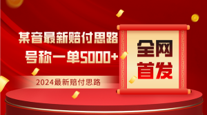 全网首发，2024最新某音赔付思路，号称一单收益5000+-KJ分享