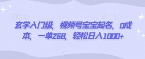 玄学入门级,视频号宝宝起名,0成本,一单268,轻松日入1000+【揭秘】-KJ分享