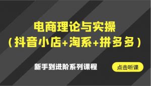 电商理论与实操(抖音小店+淘系+拼多多)新手到进阶系列课程-KJ分享