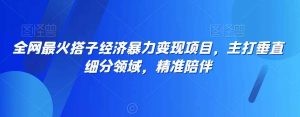 全网最火搭子经济暴力变现项目,主打垂直细分领域,精准陪伴【揭秘】-KJ分享