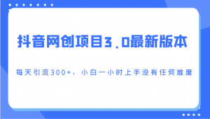 抖音网创项目3.0最新版本,每天引流300+,小白一小时上手没有任何难度-KJ分享