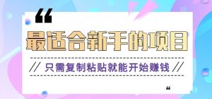 2024最适合新手操作的项目,新手小白只需复制粘贴就能开始赚钱【视频教程+软件】-KJ分享