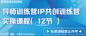 导师训练营3.0IP共创训练营私密实操课程(12节)-卖项目的密码成功秘诀-KJ分享