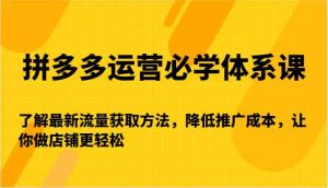 拼多多运营必学体系课-了解最新流量获取方法,降低推广成本,让你做店铺更轻松-KJ分享