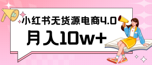 小红书新电商实战 无货源实操从0到1月入10w+ 联合抖音放大收益-KJ分享