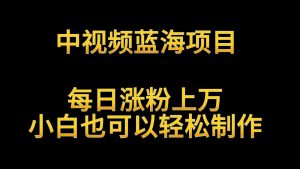 中视频蓝海项目，解读英雄人物生平，每日涨粉上万，小白也可以轻松制作，月入过万-KJ分享