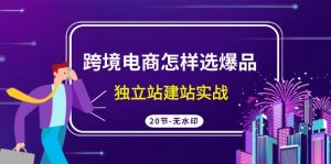 跨境电商怎样选爆品,独立站建站实战(20节高清课)-KJ分享