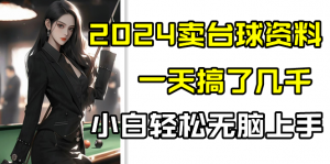 2024卖台球资料，一天搞了几千，小白轻松无脑上手-KJ分享