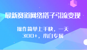 最新赛道网络搭子引流变现!!操作简单上手快,一天300+,小白专属-KJ分享
