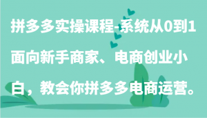 拼多多实操课程-系统从0到1,面向新手商家、电商创业小白,教会你拼多多电商运营。-KJ分享