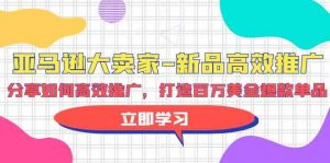 亚马逊 大卖家-新品高效推广，分享如何高效推广，打造百万美金爆款单品-KJ分享