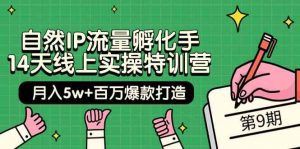 自然IP流量孵化手14天线上实操特训营【第9期】月入5w+百万爆款打造 (74节)-KJ分享
