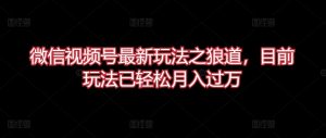 微信视频号最新玩法之狼道,目前玩法已轻松月入过万-KJ分享