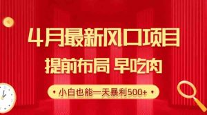 28.4月最新风口项目，提前布局早吃肉，小白也能一天暴利500+-KJ分享
